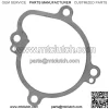 Water Pump Cover Gasket For Kawasaki TERYX 800 2013-2021 New  For: More than one vehicle - Image 4