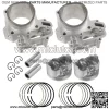 Cylinder Piston & Rings Kit for Kawasaki Teryx LE 800 KRF800 2014-2020 For: More than one vehicle