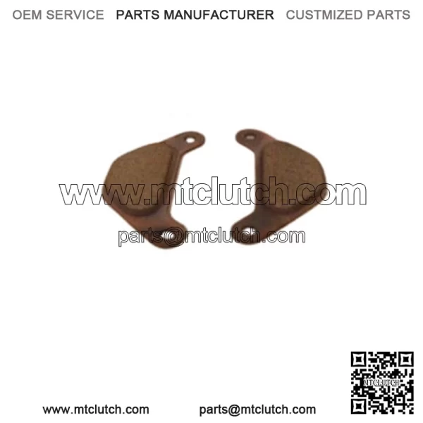 Polaris Snowmobile Rear Brake Pads by Ferodo - NEW!