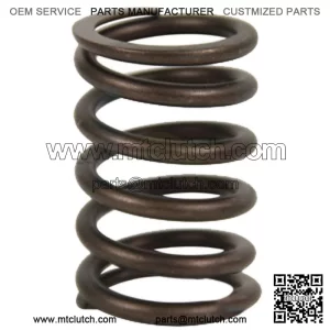 S.65711 Valve Spring - Outer Fits Case IH