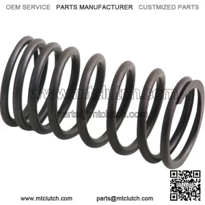 AM31744131 Inner Valve Spring