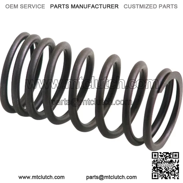 AM31744131 Inner Valve Spring